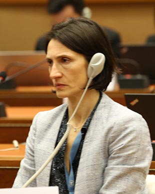 Maria Agnese Giordano Global Education Cluster Coordinator UNICEF