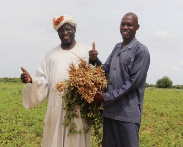 Silatech, QFFD and the UNDP Join Forces to Support Youth Employment and Livelihood Security for Conflict-Affected Populations in Sudan