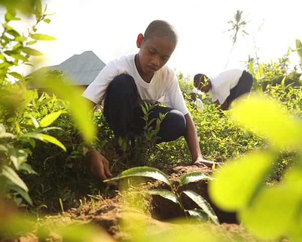 Adolescent-led climate action to benefit over 100,000 girls and boys in sustainable development drive in Zanzibar